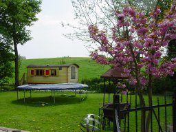 1tuin